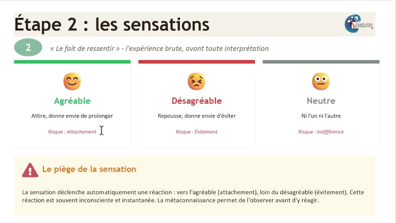 6- Naissance-de-lexperience_AP_Cameleon