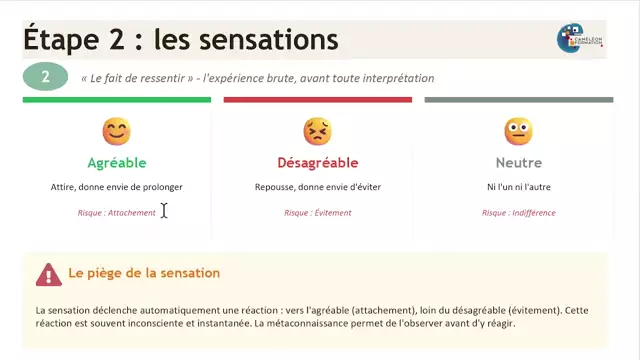 6- Naissance-de-lexperience_AP_Cameleon