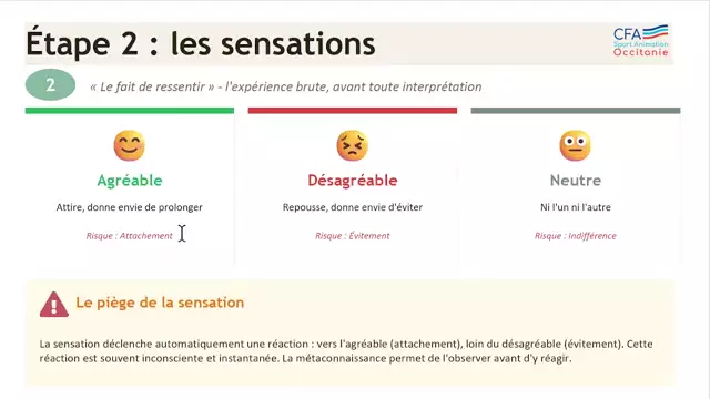6- Naissance-de-lexperience_AP_CFA