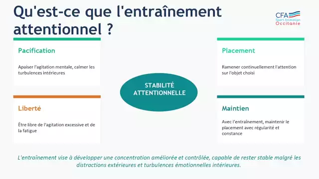 10- Metaconnaissances_AP_CFA
